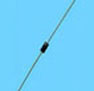 DO-41.jpg